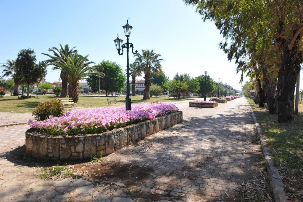 Hotel Eleni Paralia Dionisiou Exterior foto